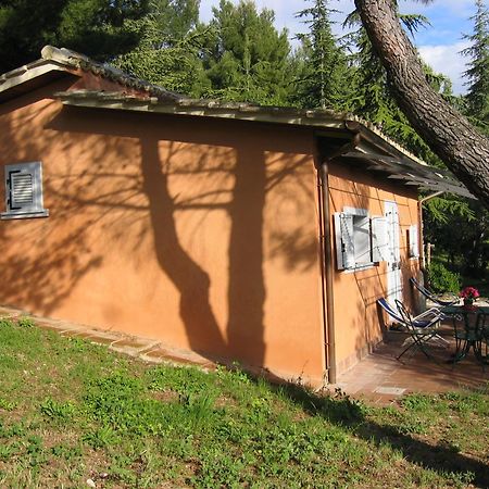 Malvarina Capodacqua  Exteriör bild